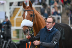 151124-Race 6-Paddock-Belgoprince-8750