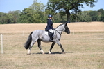 WJ6_8777