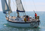 140729 SCOT FREE GBR1443T WT7A1842
