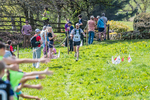 The Finish-262