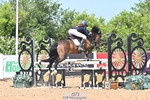Cls 24 British Novice and 80cm portfolio
