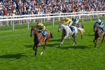 220825-Race 5-Cape Flora-7668
