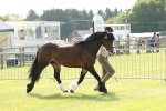SBM_02060