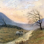 Hill Track