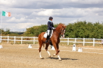 SBM_006238
