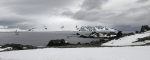 View from Half Moon Island