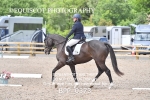 NOVICE 6 portfolio