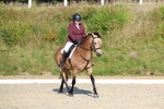 Pendarves Summer Dressage Series 09.07.2025 portfolio