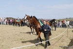  GRD 030510 62