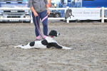SBM_09595