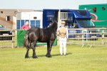 SBM_00700