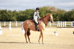 SBM_009095