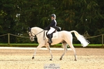 258-NOBBER.TADA-Olivia.Mathieson-DR portfolio