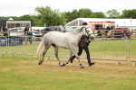 SBM_04271