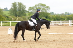 SBM_006960