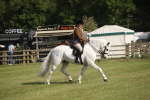 SBM_10234