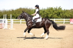 SBM_002027