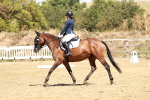 SBM_003001