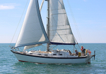 140729 SCOT FREE GBR1443T WT7A1844