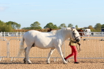 SBM_07965