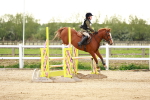 SBM_009577