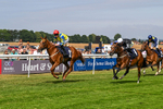 140726-Race 3-Pendella-0388