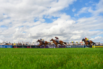 300826-Race 3-Pivotal Voyage-6882