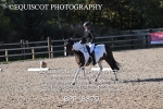 BPP_8870