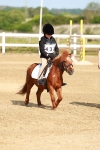 SBM_006255