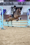 SBM_004293