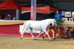 SBM_02956