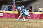 SBM_09937