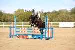 SBM_003047
