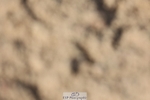 250629-174922-13769