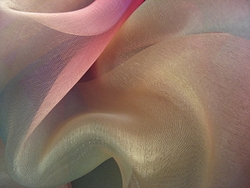Vibrant & Soft portfolio