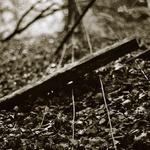 Intimate Landscape with Degenerated Formation
