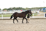 SBM_08531