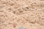 230630A-090940-00404