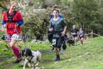 Dovedale Dash-2040