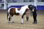 SBM_5288