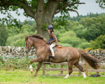 Dunblane show-644