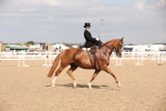 SBM_06745