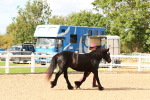SBM_10976