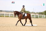 SBM_008064