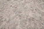 SBM_013060