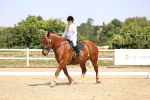 SBM_004135