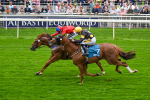 080925-Race 2-Alzahir-7437