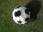 11- Football