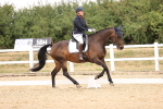 SBM_008642
