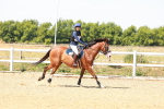 SBM_002222